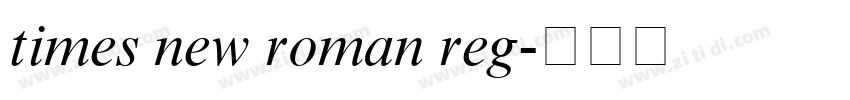 times new roman reg字体转换